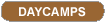 Day Camps